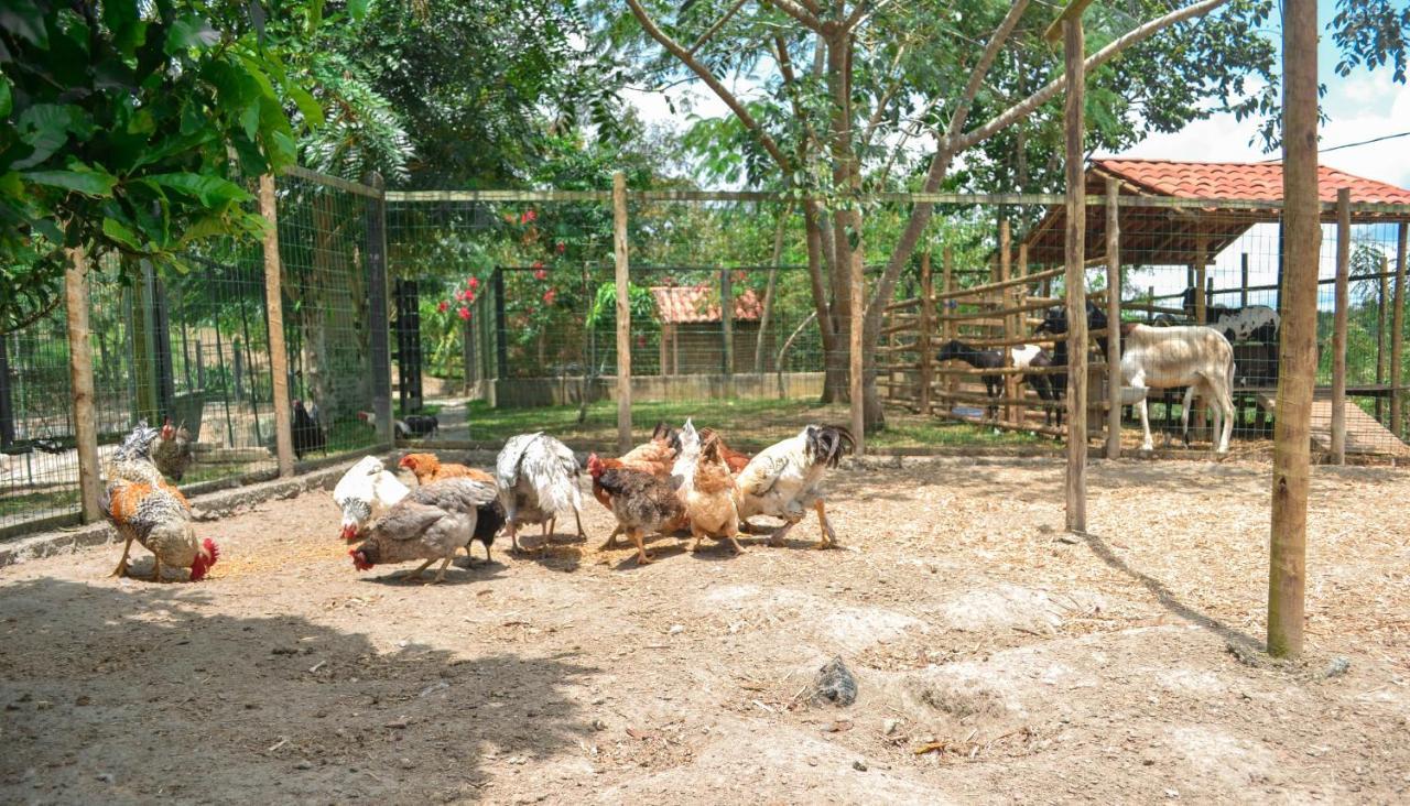 Chacara Maluco Beleza 2 Villa Gravatá Exterior foto