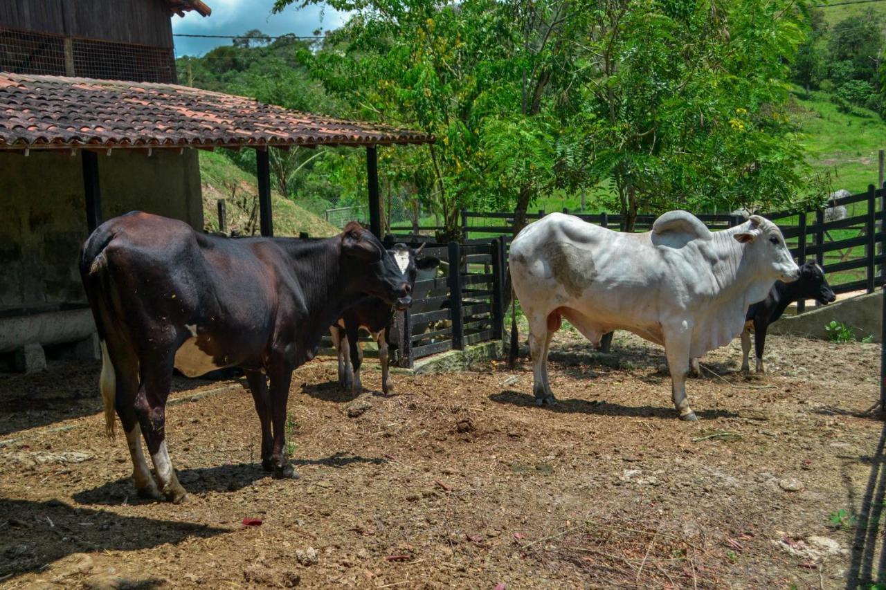 Chacara Maluco Beleza 2 Villa Gravatá Exterior foto